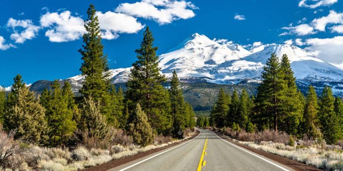 Mount Shasta peak covered in snow with foreground of dense trees, symbolizing its mysteries.